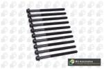 BGA Set surub, chiulasa BGA BK6315 (BK6315)
