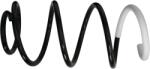 SACHS Arc spiral SACHS 991 173 (991 173)