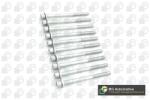 BGA Set surub, chiulasa BGA BK6374 (BK6374)