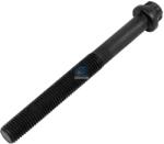 DT Spare Parts surub chiulasa DT Spare Parts 3.11207 (3.11207)