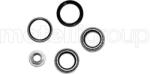 METELLI Set rulment roata METELLI 19-7122 (19-7122)