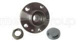 METELLI Set rulment roata METELLI 19-2906 (19-2906)