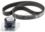 SNR Set curea de distributie SNR KD455.61 (KD455.61)