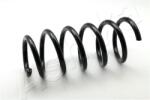 ASHIKA Arc spiral ASHIKA ZCA2234C (ZCA2234C)