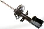 Denckermann amortizor DENCKERMANN DSB168G (DSB168G)