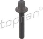 TOPRAN Surub fulie TOPRAN 503 131 (503 131)