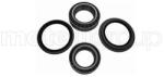 METELLI Set rulment roata METELLI 19-7684 (19-7684)