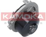 KAMOKA Pompă de apă, răcire motor KAMOKA T0113 (T0113)