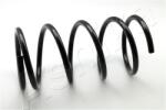 ASHIKA Arc spiral ASHIKA ZCA3119A (ZCA3119A) - automobilus