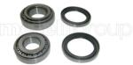 METELLI Set rulment roata METELLI 19-7822 (19-7822)