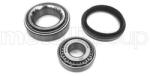 METELLI Set rulment roata METELLI 19-2262 (19-2262)