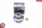 ESEN SKV Set rulment roata ESEN SKV 29SKV219 (29SKV219)