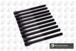 BGA Set surub, chiulasa BGA BK6354 (BK6354)
