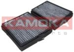 KAMOKA Filtru, aer habitaclu KAMOKA F507301 (F507301)