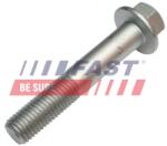 FAST Surub, brat oscilant FAST FT17401 (FT17401)