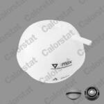 CALORSTAT by Vernet Vas de expansiune, racire CALORSTAT by Vernet ET0001C1 (ET0001C1) - automobilus