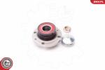 ESEN SKV Set rulment roata ESEN SKV 29SKV038 (29SKV038)