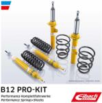 EIBACH Set suspensie, arcuri elicoidale / amortizoare EIBACH B12 Pro-Kit E90-15-008-08-22 (E90-15-008-08-22)