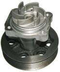 Denckermann Pompă de apă, răcire motor DENCKERMANN A310509P (A310509P)