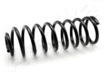 ASHIKA Arc spiral ASHIKA ZCA5213G (ZCA5213G)