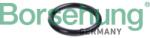 BORSEHUNG Inel etansare, furtun lichid racire BORSEHUNG B10632 (B10632)