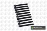 BGA Set surub, chiulasa BGA BK6387 (BK6387)