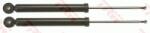 TRW amortizor TRW TWIN JGT1054T (JGT1054T)