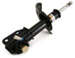 Arnott amortizor Arnott SK-2186 (SK-2186) - automobilus