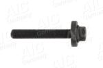 AIC Surub AIC Calitatea originală 56565 (56565)