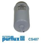 PURFLUX filtru combustibil PURFLUX CS487 (CS487)