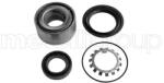 METELLI Set rulment roata METELLI 19-7816 (19-7816)