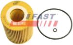 FAST Filtru ulei FAST FT38101 (FT38101)