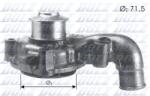 DOLZ Pompă de apă, răcire motor DOLZ F165 (F165)