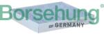 BORSEHUNG Filtru, aer habitaclu BORSEHUNG B12797 (B12797)