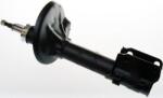 Denckermann amortizor DENCKERMANN DSB125G (DSB125G)
