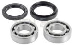 SNR Set rulment roata SNR R181.06 (R181.06)