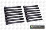BGA Set surub, chiulasa BGA BK6388 (BK6388) - automobilus