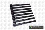 BGA Set surub, chiulasa BGA BK2315 (BK2315)