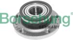 BORSEHUNG Set rulment roata BORSEHUNG B15624 (B15624) - automobilus