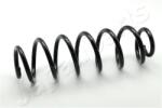 JAPANPARTS Arc spiral JAPANPARTS ZC7153A (ZC7153A)