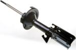 Denckermann amortizor DENCKERMANN DSB024G (DSB024G) - automobilus