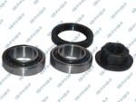 GSP Set rulment roata GSP GK3666 (GK3666)