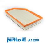 PURFLUX Filtru aer PURFLUX A1289 (A1289)