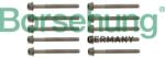 BORSEHUNG Set surub, chiulasa BORSEHUNG B10625 (B10625)