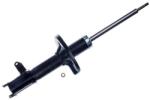 Denckermann amortizor DENCKERMANN DSB457G (DSB457G) - automobilus