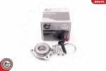 ESEN SKV Set rulment roata ESEN SKV 29SKV029 (29SKV029)