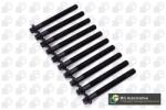 BGA Set surub, chiulasa BGA BK4304 (BK4304)