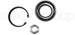 METELLI Set rulment roata METELLI 19-7666 (19-7666)