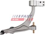 FAST Brat, suspensie roata FAST FT15149 (FT15149)