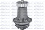 DOLZ Pompă de apă, răcire motor DOLZ M183 (M183)